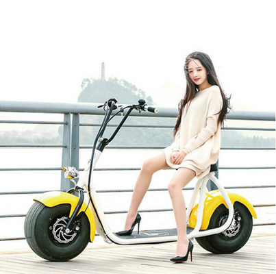 18 Inch Unique Haley 1000w City Electric Scooter With Rear Shock Absorber