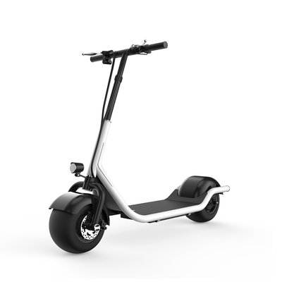 Citycoco Harley Foldable Electric Scooter , 2 Wheel Electric Standing Scooter