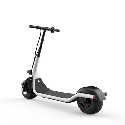 Citycoco Harley Foldable Electric Scooter , 2 Wheel Electric Standing Scooter